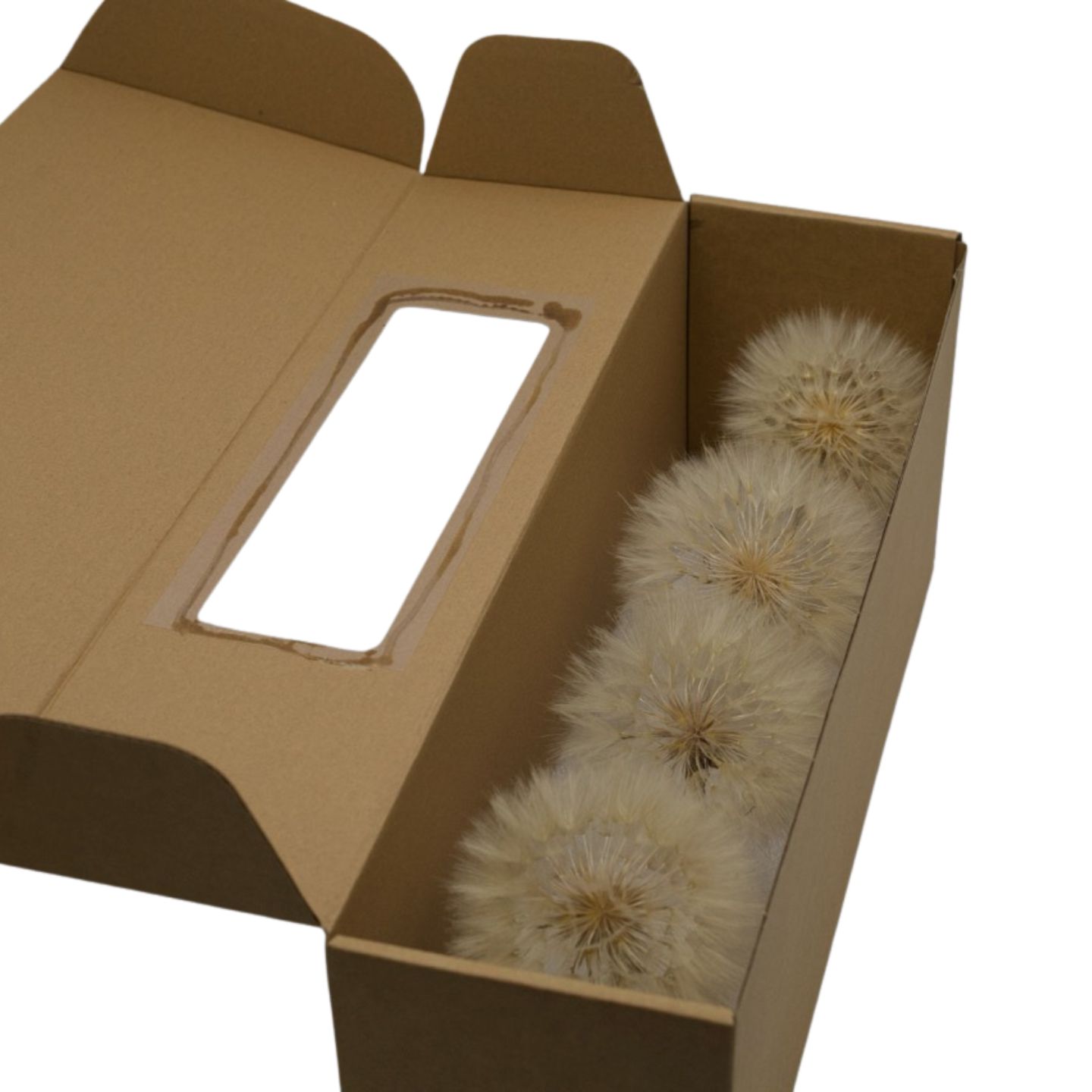 Preserved Dandelion, 4 pcs